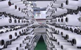Transforming India’s Cotton Sector