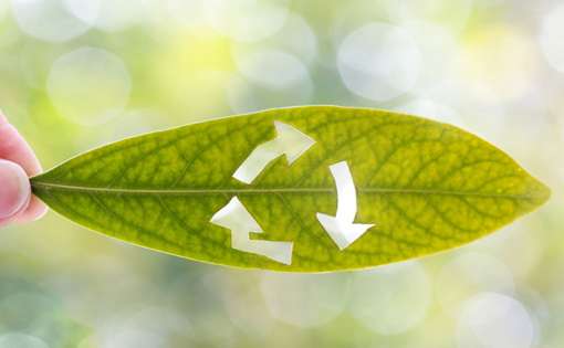 Apparel Industry: Starting a 'Go Green' Initiatives