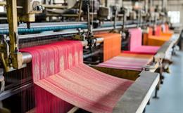 Garment Manufacturing and Processing