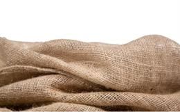 About Jute