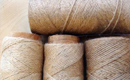 About Jute