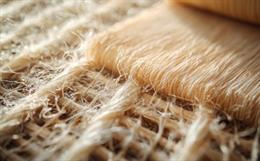 US, Canada to Target False Labelling Claims On Bamboo Textiles