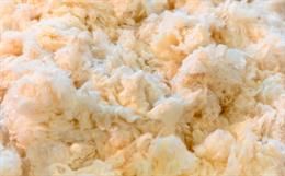 Comparative Studies on Traditional and Enzymatic Methods of Cotton Processing