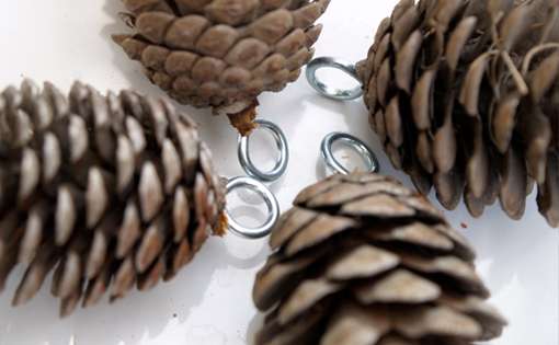 Intelligent fabric inspired by pine cones