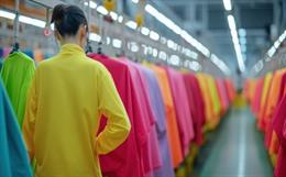 Four Point Fabric Inspection System