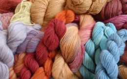 Influence of Physical Characteristics of Wool Fibre on Dyeing