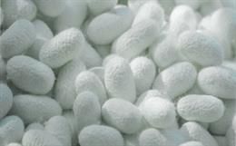 Effect of Selected Pretreatments on properties of Oak Tasar Silk Fabric