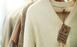 Emerging Issues in Apparel Trade: Sustainable Development &amp; Carbon Neutrality