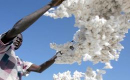Global Trade Talks Now to Focus on LDCs and Cotton