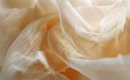 Gossamer : The Spider Silk
