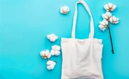 Purchasing Power - Consumers willing to pay over price increases for cotton