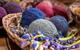 Naturally colored cotton