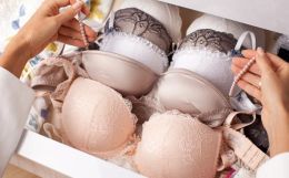 Women's Second Skin : Global market for lingerie