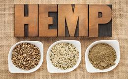 hemp-small