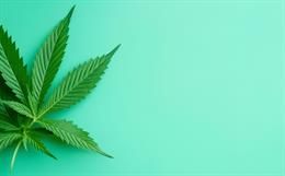 Comparative Study of Andongpoh & Musam Korean Hemp