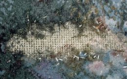 Moth Larvae in Woolen Textiles