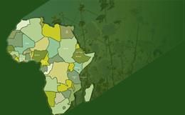 Africa-India's-main-competitor_small