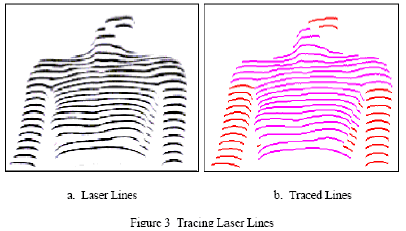 3d Body Scanning Technique For Apparel Fibre2fashion