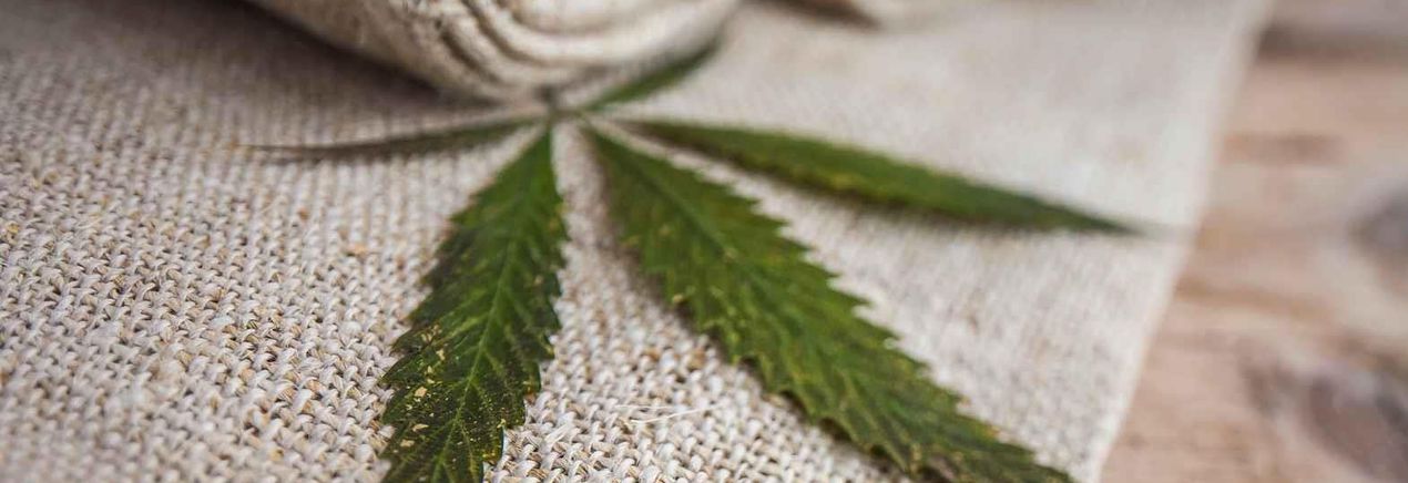 Reviving Green Threads: The Renaissance of Textile Hemp in Spain and Beyond