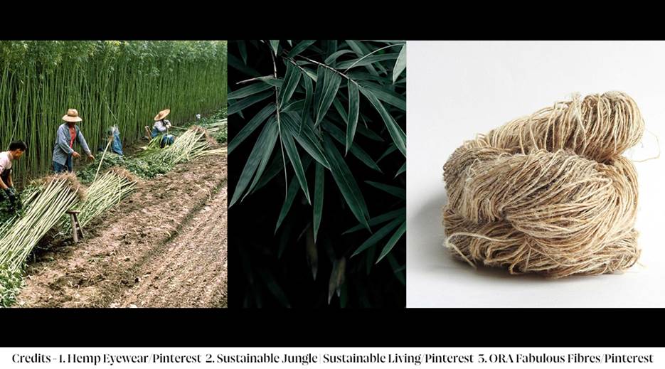 A collage of a person working in a field

AI-generated content may be incorrect.