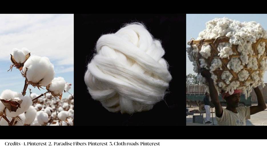 A ball of white cotton

AI-generated content may be incorrect.