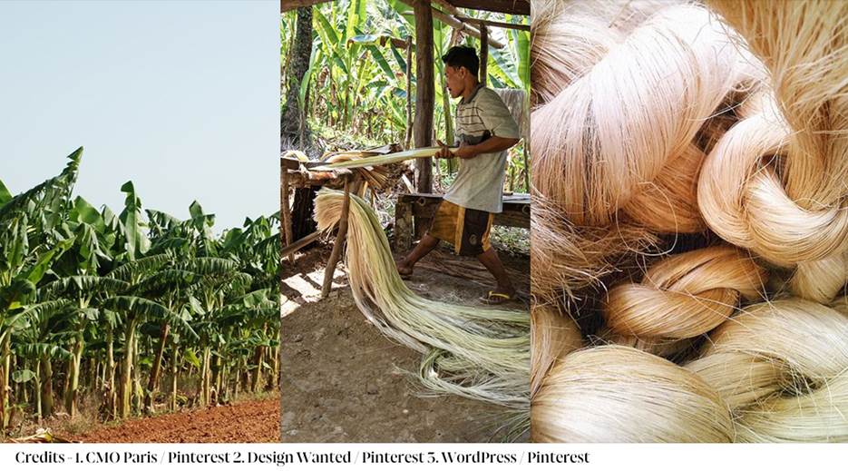 Example Of Abaca What Are Cellulosic Fibres? Discover the Most Sustainable Choices ...