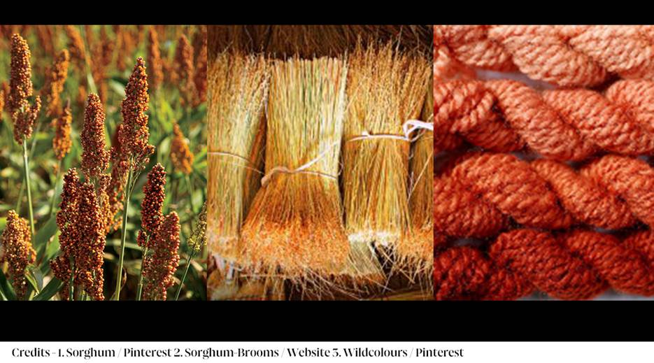Close-up of several brooms

AI-generated content may be incorrect.