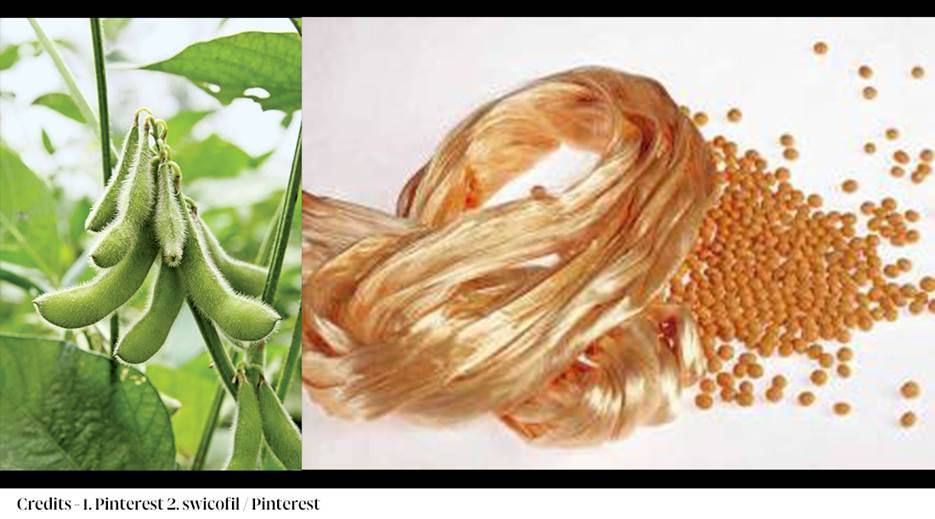 A close-up of a plant

AI-generated content may be incorrect.
