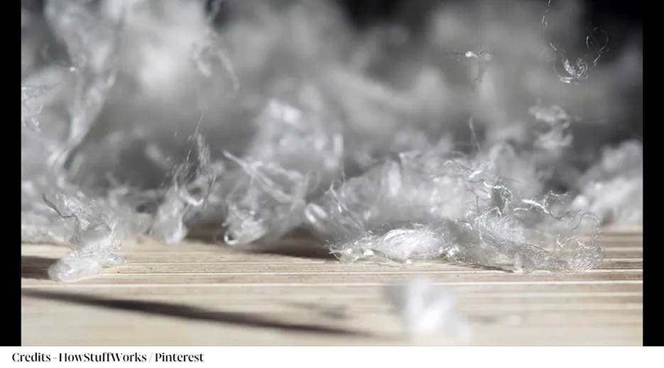A pile of white feathers

AI-generated content may be incorrect.
