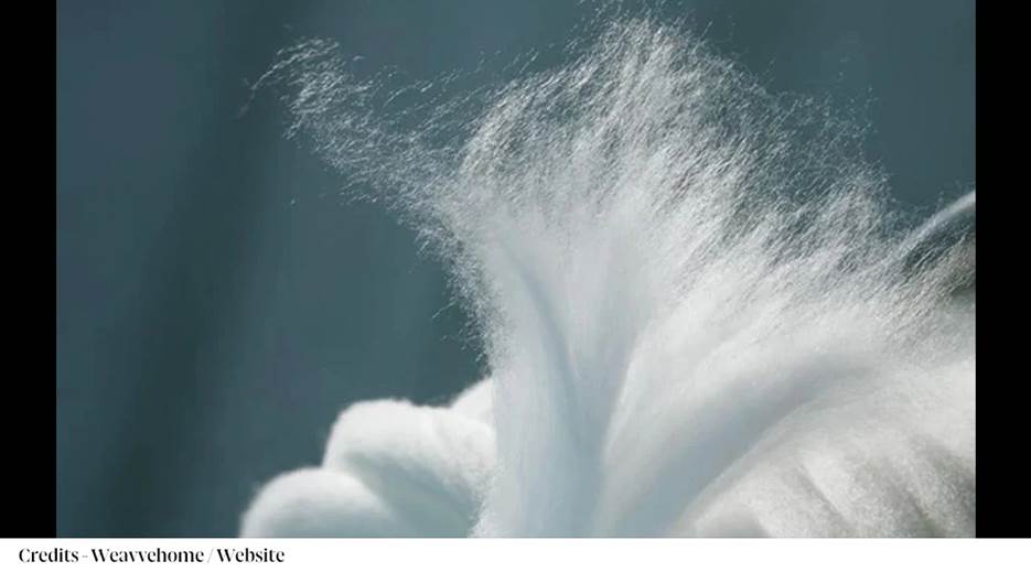 A close-up of a white fluffy object

AI-generated content may be incorrect.