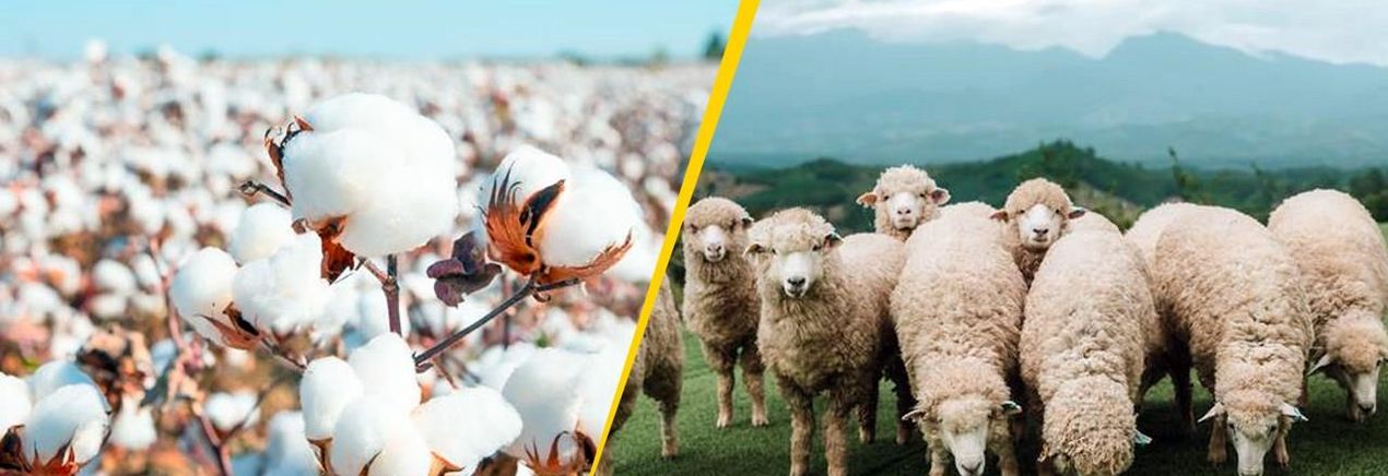 How Organic & Regenerative Farming Practices are Becoming the Next Frontier for Sustainability