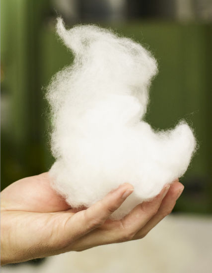 A hand holding a white cotton ball

AI-generated content may be incorrect.