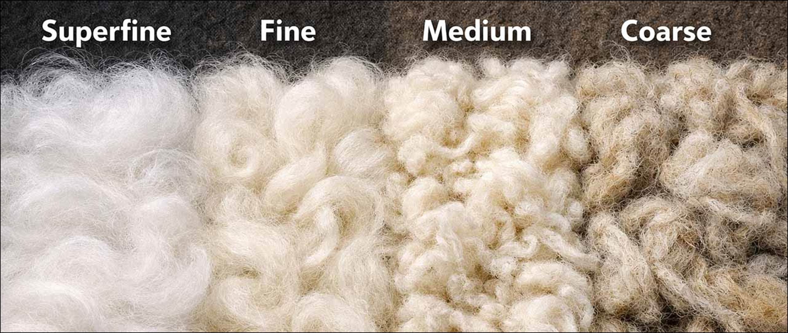 How Buyers Track Global Wool Prices Accurately - Fibre2Fashion