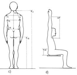 Indian Body Dimensions Free Apparel Industry Articles