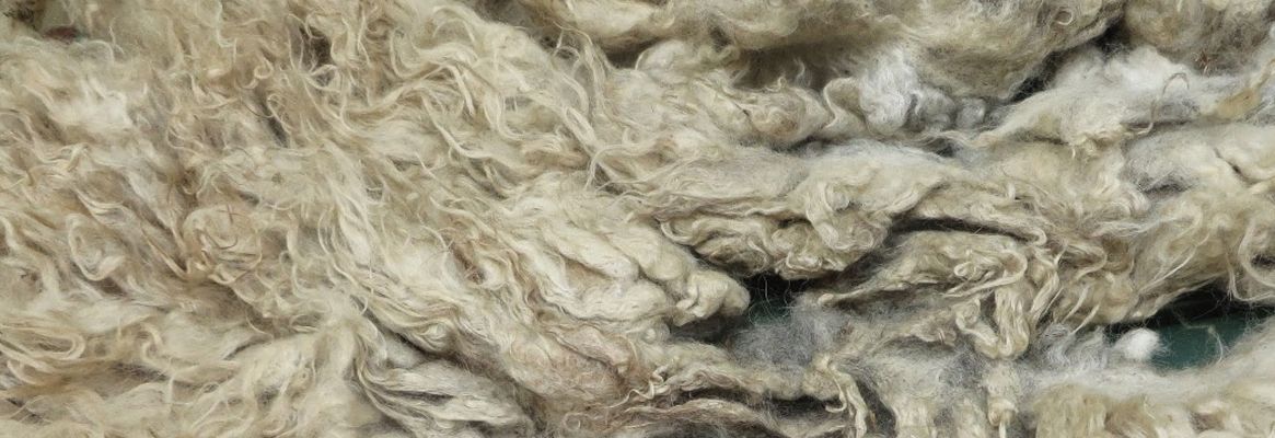 Wool Scouring