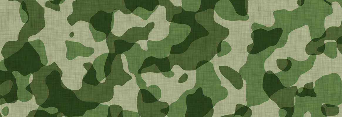 Хаки описание. Ткань хаки армейский (RAL-7008). Камуфляж зеленый. Камуфляжная расцветка. Защитные камуфляжные цвета.