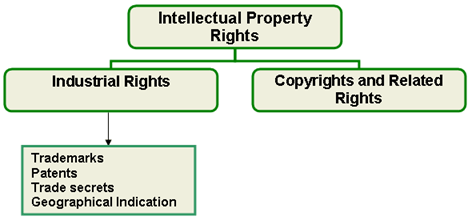 Geographical Indication Act,Geographical Indications Protections ...