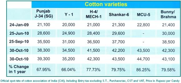 cotton yarn prices today