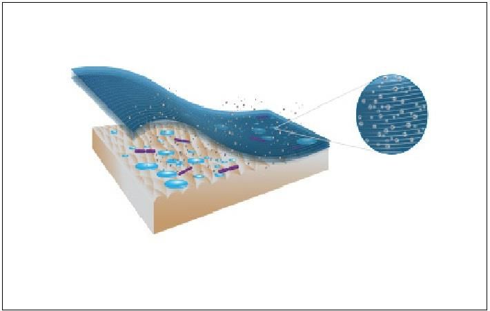 Pic: Noble Biomaterials