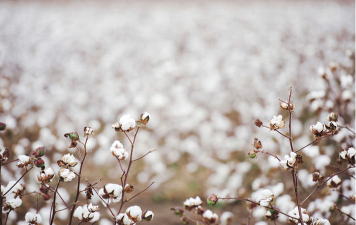 Pic: Shutterstock
