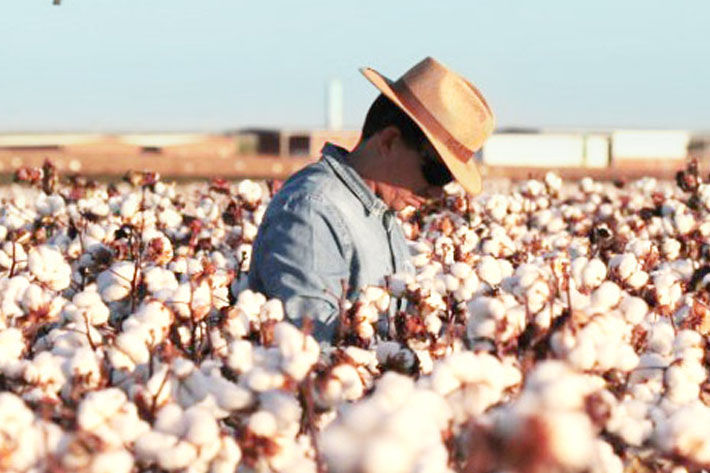 Pic: Cotton Brazil