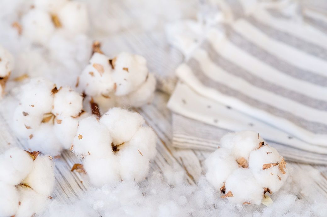 Pic: Shutterstock.com