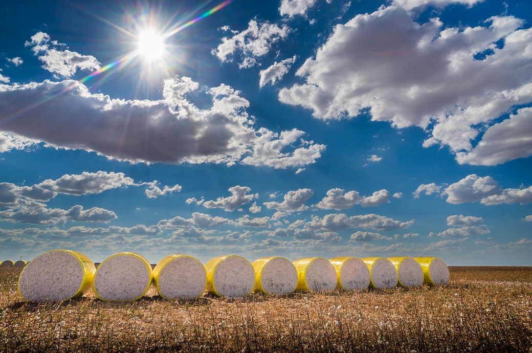 Pic: Shutterstock.com