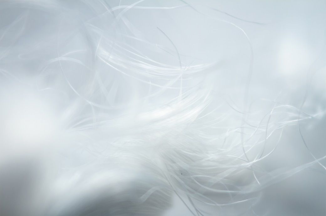 Pic: Shutterstock.com