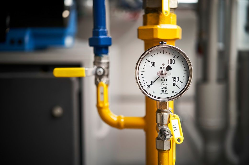 Pic: Shutterstock/Ambiento