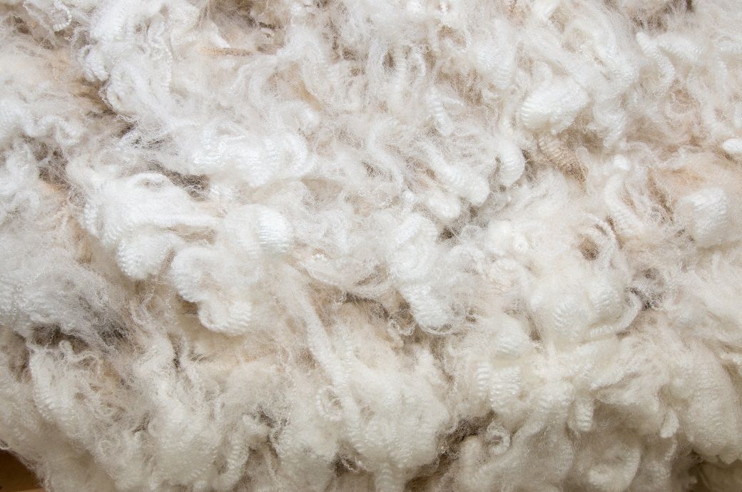 Mixed fortunes at Australian wool auctions amid currency fluctuations