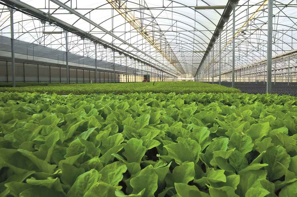 Germany's BASF launches Tinuvin NOR 211 AR for agricultural plastics
