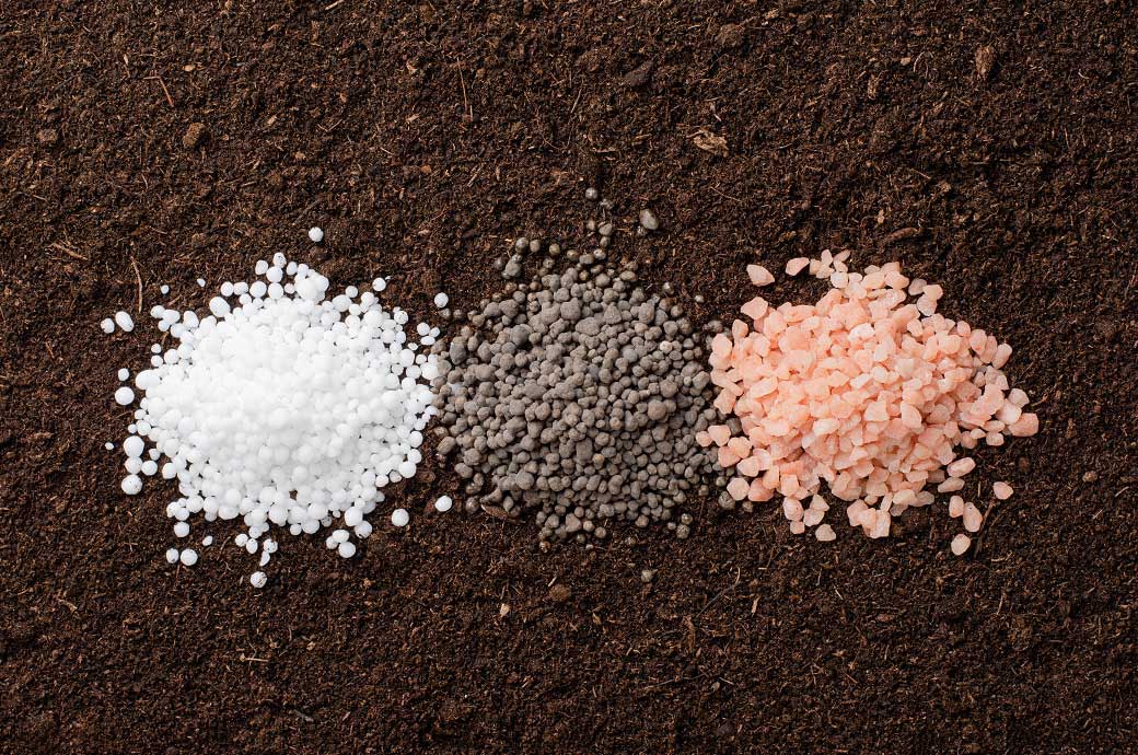 India boosts fertiliser sector allocation in green hydrogen mission