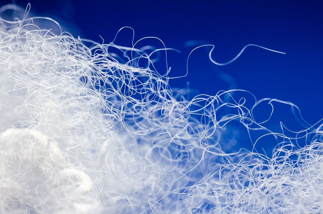 India & China among top 5 countries supplying 80% of PSF to US