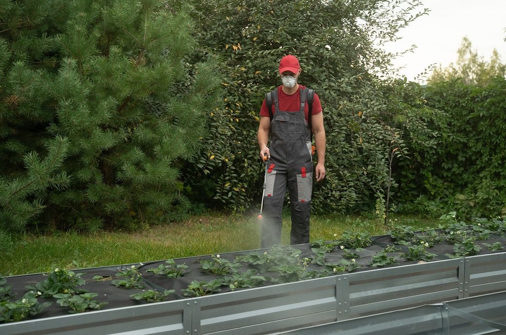  Best Agrolife secures patent for synergistic insecticidal formulation